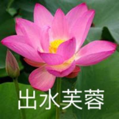 全民仙逆手游oppo版下载